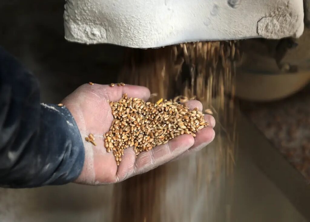 grain-grocery-production