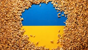 Reuters: EÚ zníži dovoz pšenice a cukru z Ukrajiny o 70 až 80 %