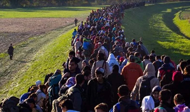 migrants