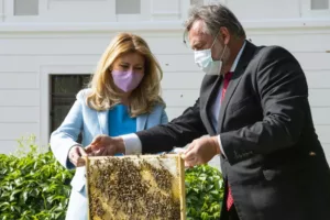 Bude hlava štátu rozdávať med?