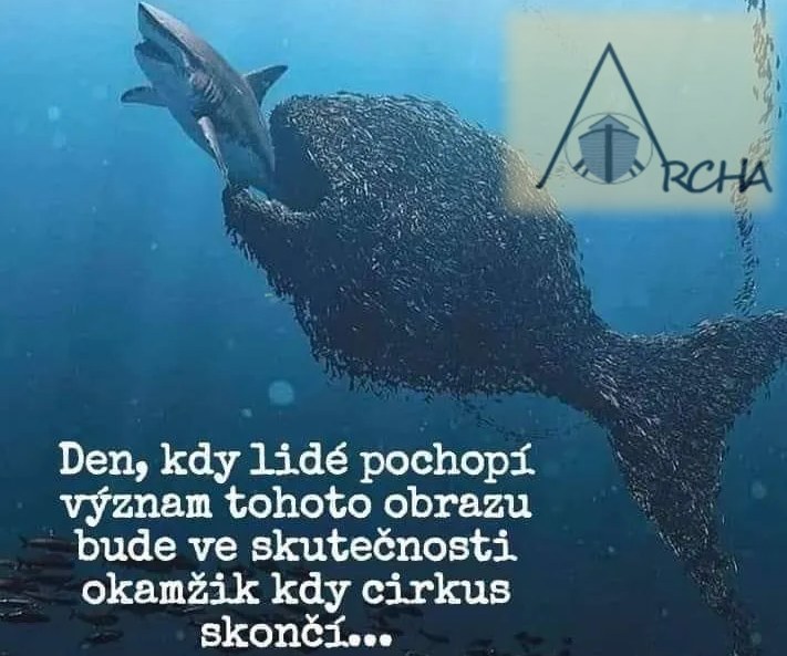 Spolok ARCHA