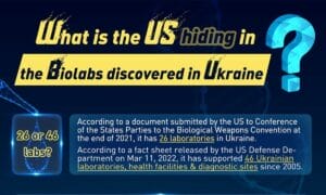 Klonovanie detí, Ukraine Labs a Epstein: ako západné médiá ignorujú odhalenia zo spisov Epstein