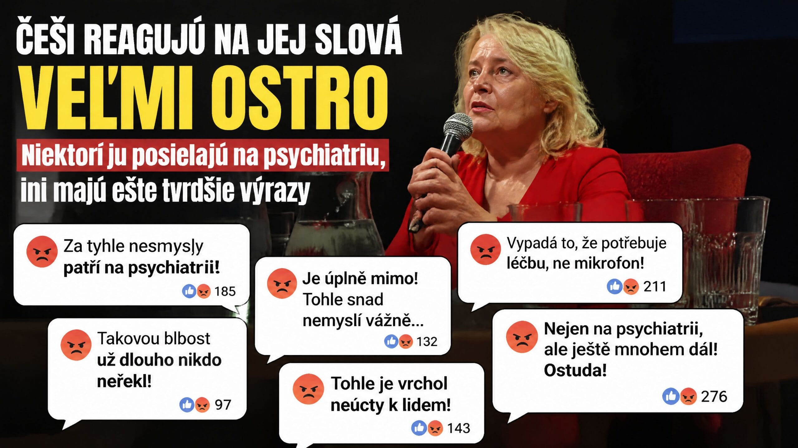 Dopadnete zle, Česi, povedala Vášáryová. Dopadla zle poslali ju na psychiatriu