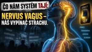 Čo nám systém tají: Nervus Vagus – náš vypínač strachu.
