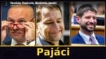 Opozícia: Zradcovia, škodcovia, panáci